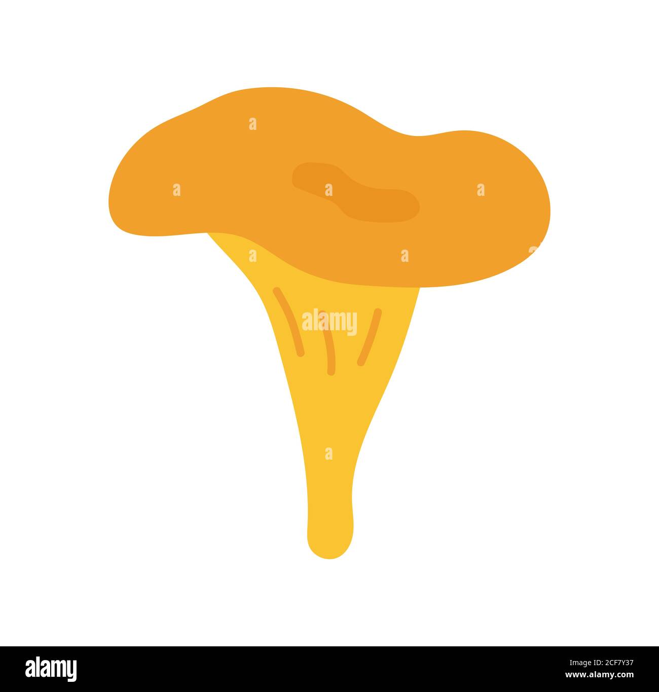 Fungo di chanterelle disegnato a mano isolato su sfondo bianco. Illustrazione Vettoriale