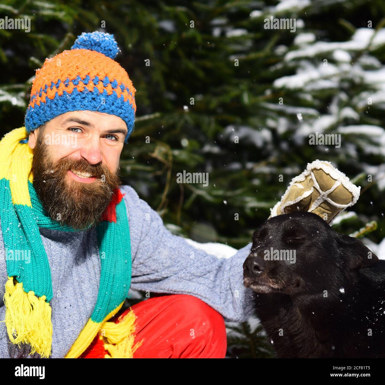 Macho con barba e baffi pat cane, primo piano. Ragazzo con faccia  sorridente con i firtrees ricoperti di neve sullo sfondo, sfocato. L'uomo  indossa cappello e sciarpa in maglia con cane nero.