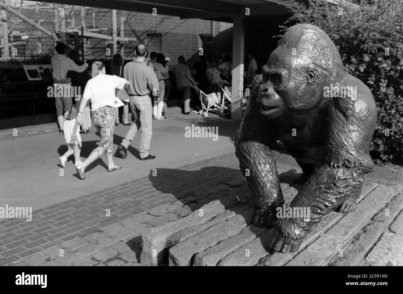 Statua di Guy the Gorilla all'ingresso dello zoo di Londra e della Zoological Society of London - un complesso mix di educazione, ricerca scientifica, conservazione e attrazione turistica. 16 settembre 1992. Foto: Neil Turner Foto Stock