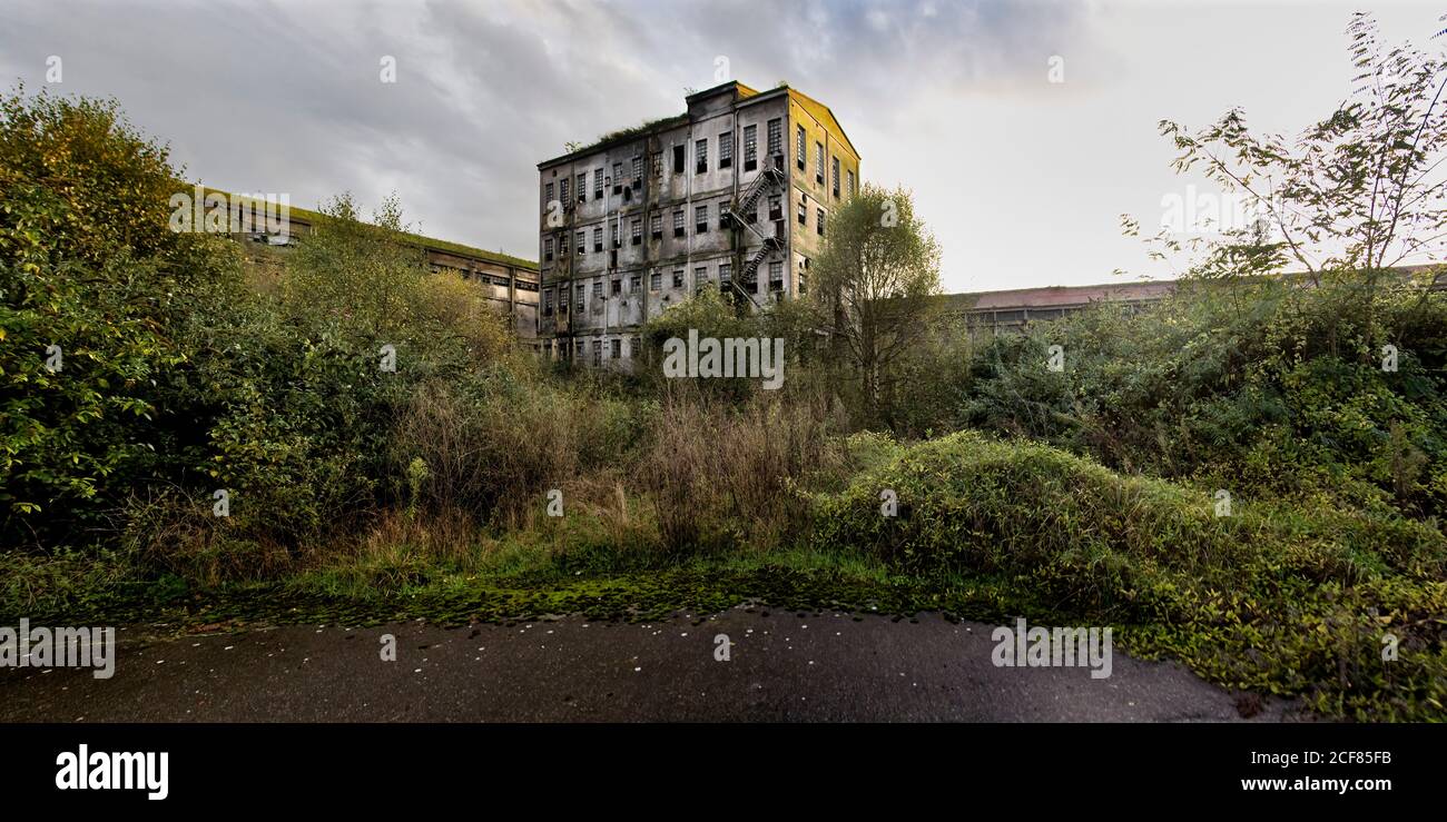 Ampia vista angolare di un solo edificio industriale in pietra invecchiata con pareti grigie in ombra situate tra cespugli verdi contro il cielo nuvoloso Nelle Asturie in Spagna Foto Stock