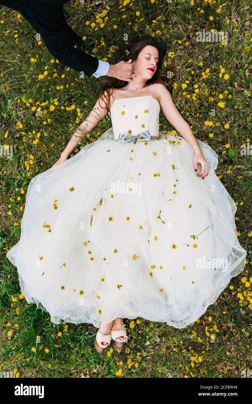 Vista dall'alto dello sposo di raccolto carezzante sposa affascinante sdraiata in abito da sposa bianco decorato con andelioni freschi Foto Stock