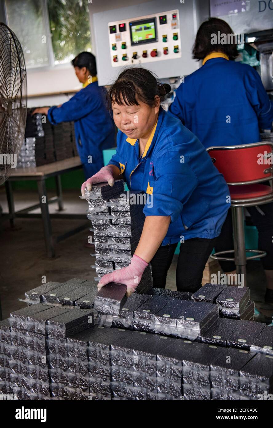 (200904) -- HANZHONG, 4 settembre 2020 (Xinhua) -- i membri del personale impaccano il riso nero nel villaggio di Caoba della contea di Yangxian, la provincia di Shaanxi della Cina nord-occidentale, 2 agosto 2020. Il 23 maggio 1981, gli ultimi sette stambecchi crestati selvaggi sono stati trovati nella contea di Yangxian. Al fine di proteggere Ibis crestato, il governo locale incoraggia gli agricoltori a non utilizzare fertilizzanti e pesticidi chimici nei terreni agricoli degli habitat crestati Ibis. Yangxian aveva scelto l'industria biologica come un modo per risolvere la contraddizione tra la protezione dell'ambiente ecologico e l'ibis e l'economia in via di sviluppo. Prendendo gli organi Foto Stock