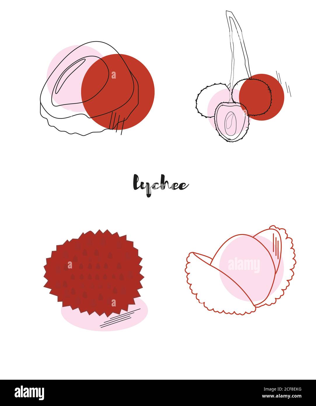succosa e attraente lychee fatto con linee Foto Stock