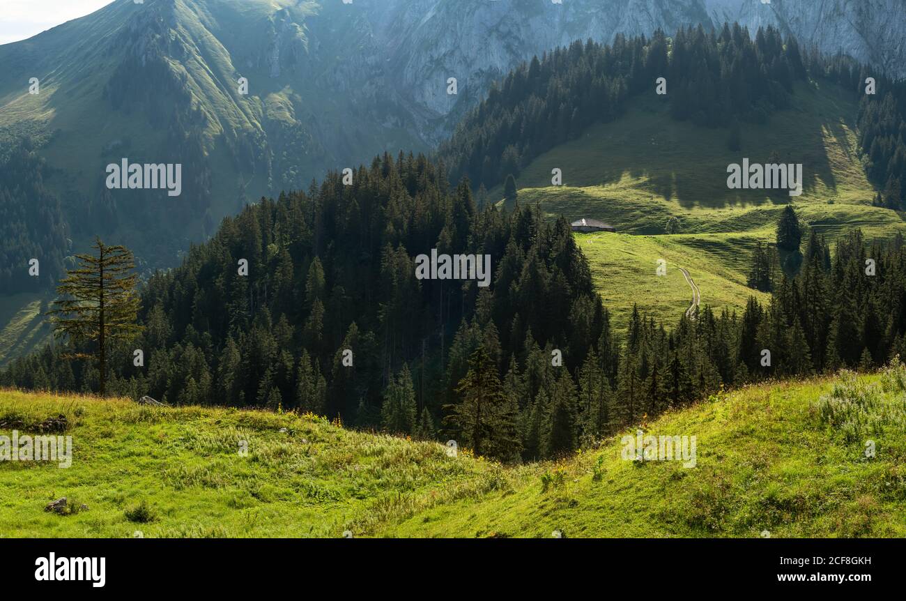 La catena montuosa del Gruyere e la natura alpina, Svizzera Foto Stock