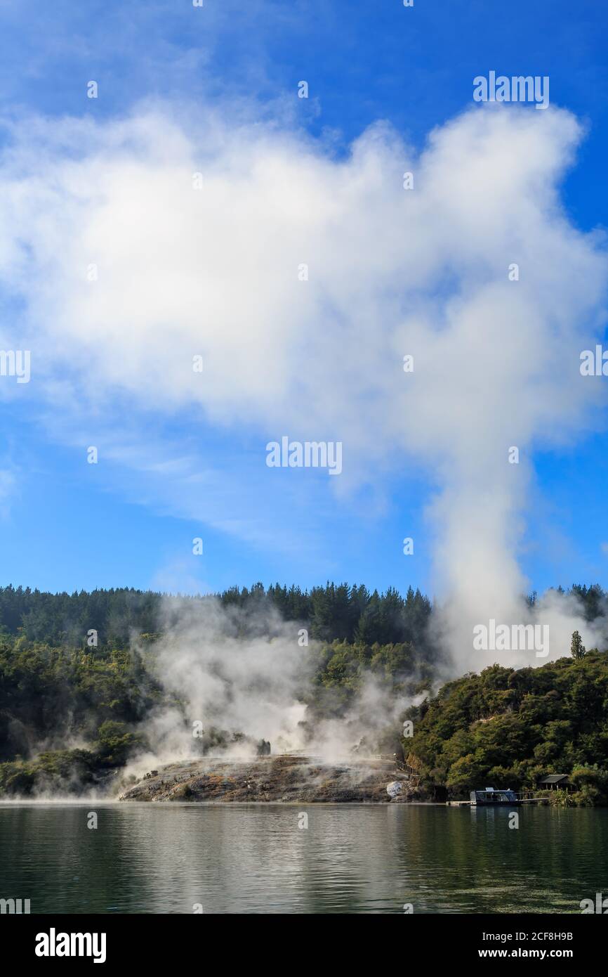 Il vapore si innalza da Orakei Korako, un'area geotermica molto attiva e attrazione turistica nella zona vulcanica di Taupo, Nuova Zelanda Foto Stock