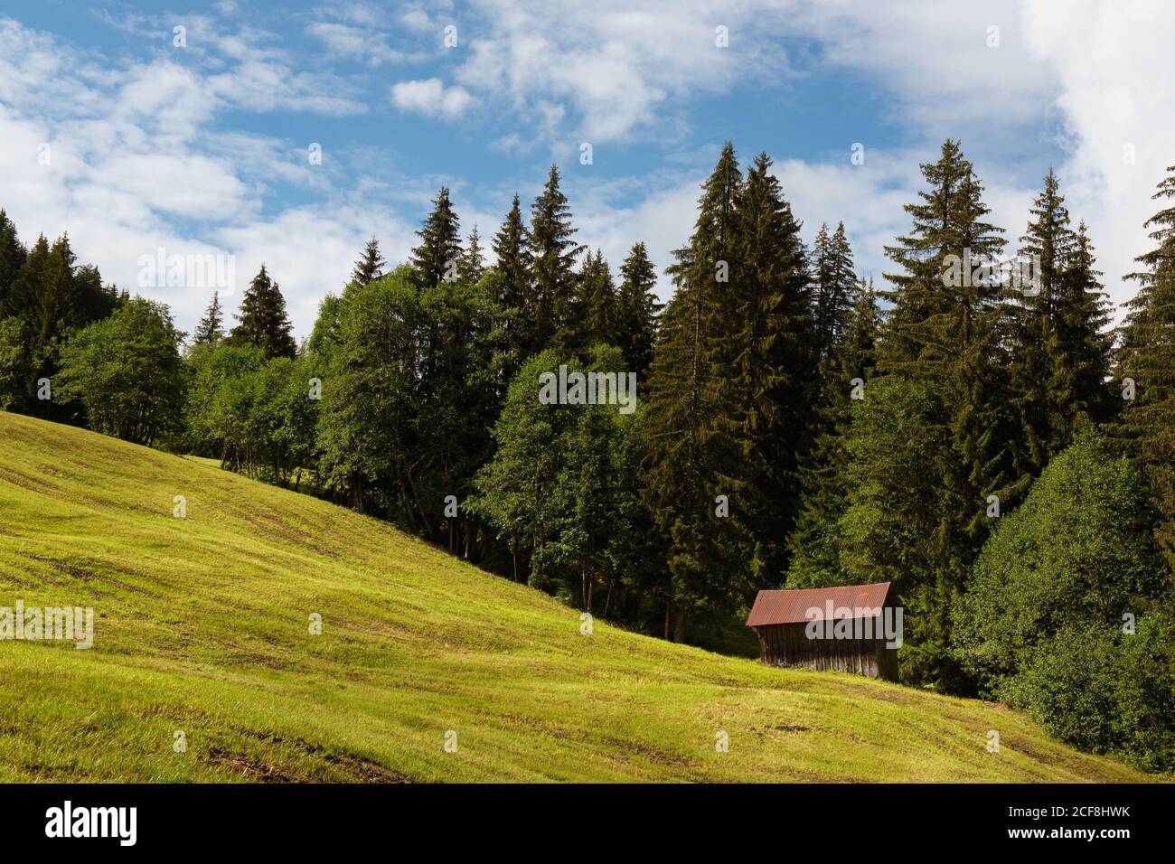 Gruyere catena montuosa con un piccolo capanno in un campo, Svizzera Foto Stock