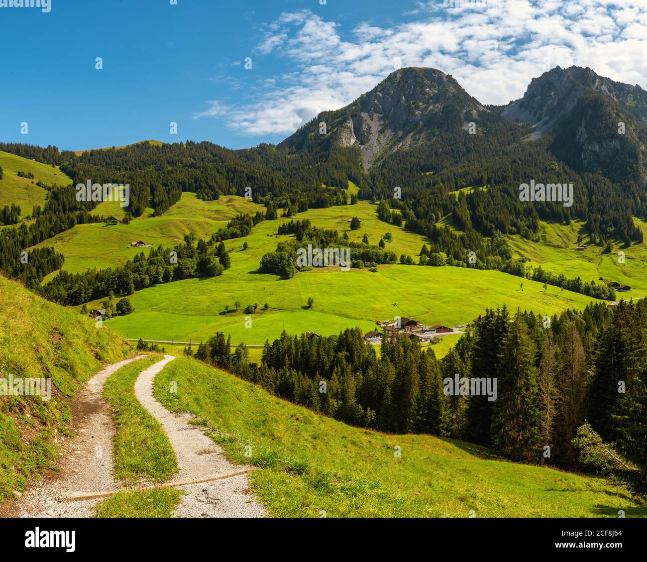 La catena montuosa del Gruyere e un sentiero escursionistico, la Svizzera Foto Stock