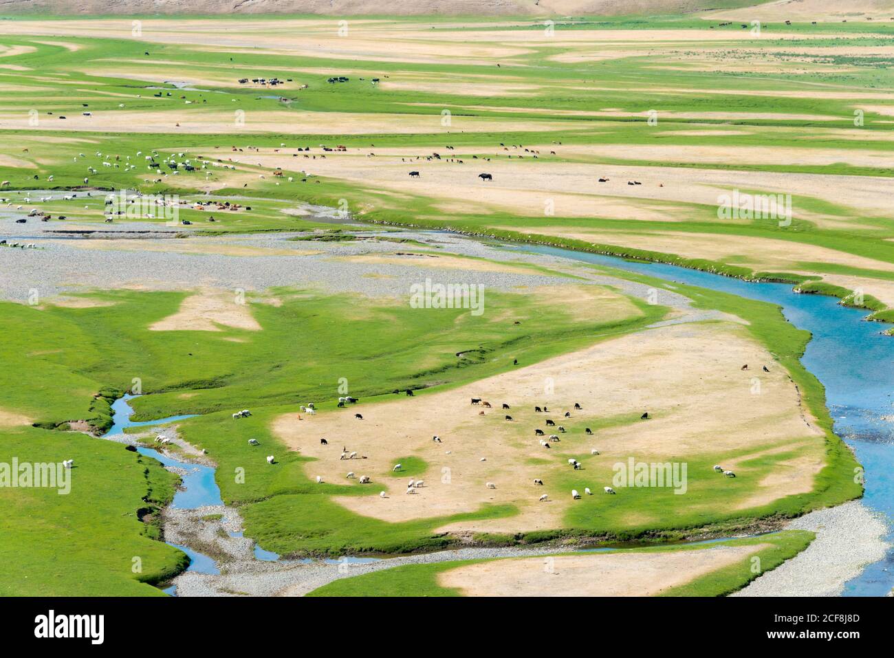 KHARKORIN, MONGOLIA - Valle Orkhon a Kharkhorin (Karakorum), Mongolia. Fa parte dell'Orkhon Valley Cultural Landscape, patrimonio dell'umanità. Foto Stock