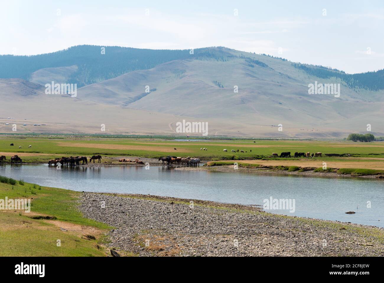 KHARKORIN, MONGOLIA - Valle Orkhon a Kharkhorin (Karakorum), Mongolia. Fa parte dell'Orkhon Valley Cultural Landscape, patrimonio dell'umanità. Foto Stock