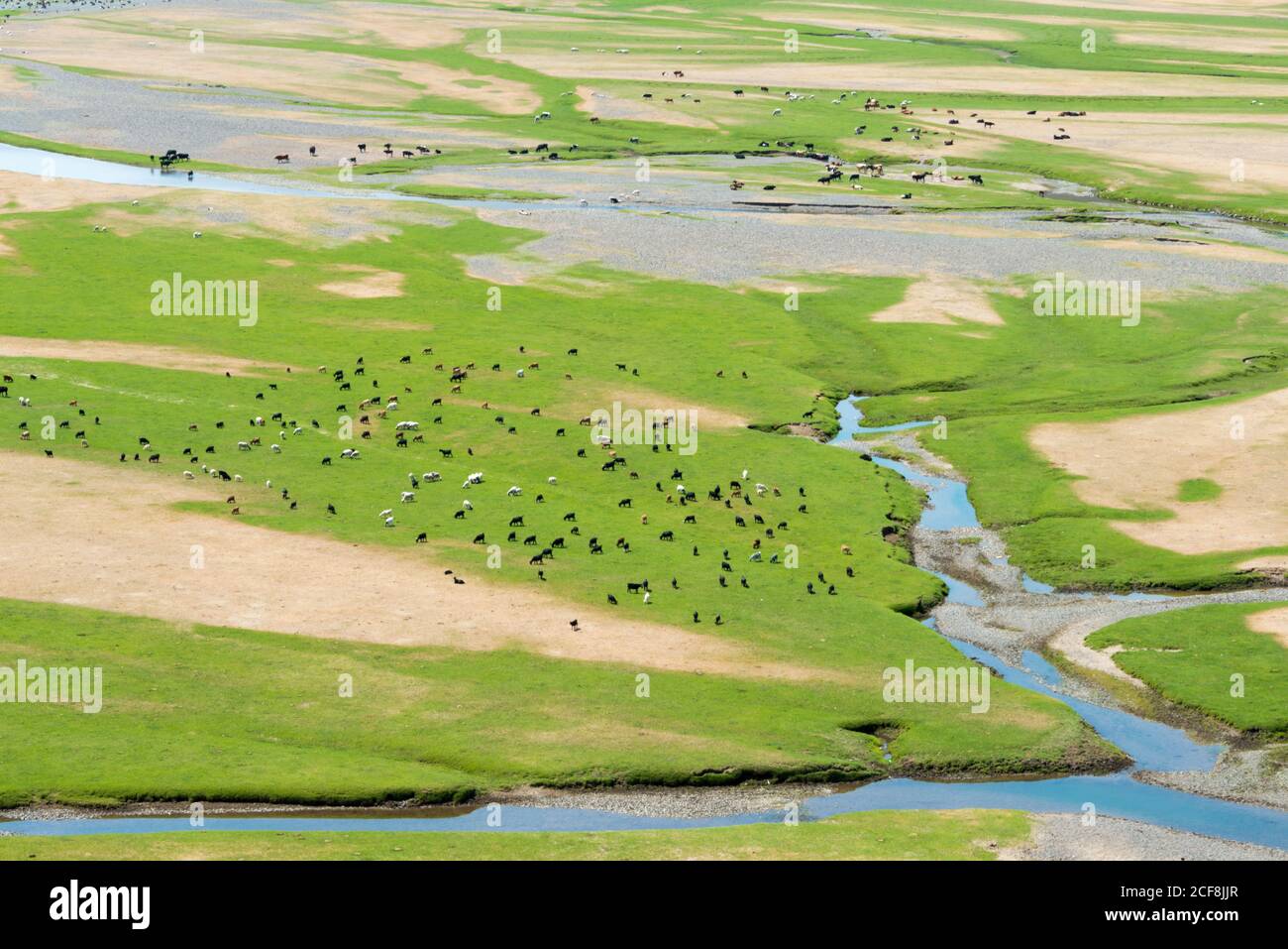 KHARKORIN, MONGOLIA - Valle Orkhon a Kharkhorin (Karakorum), Mongolia. Fa parte dell'Orkhon Valley Cultural Landscape, patrimonio dell'umanità. Foto Stock