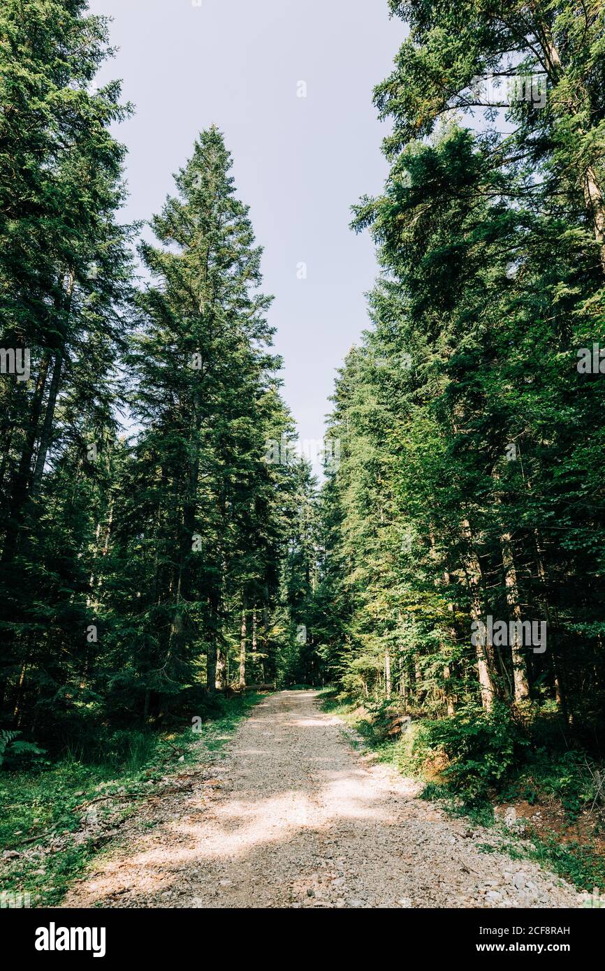 Sentiero di ghiaia in montagna immagini e fotografie stock ad alta ...