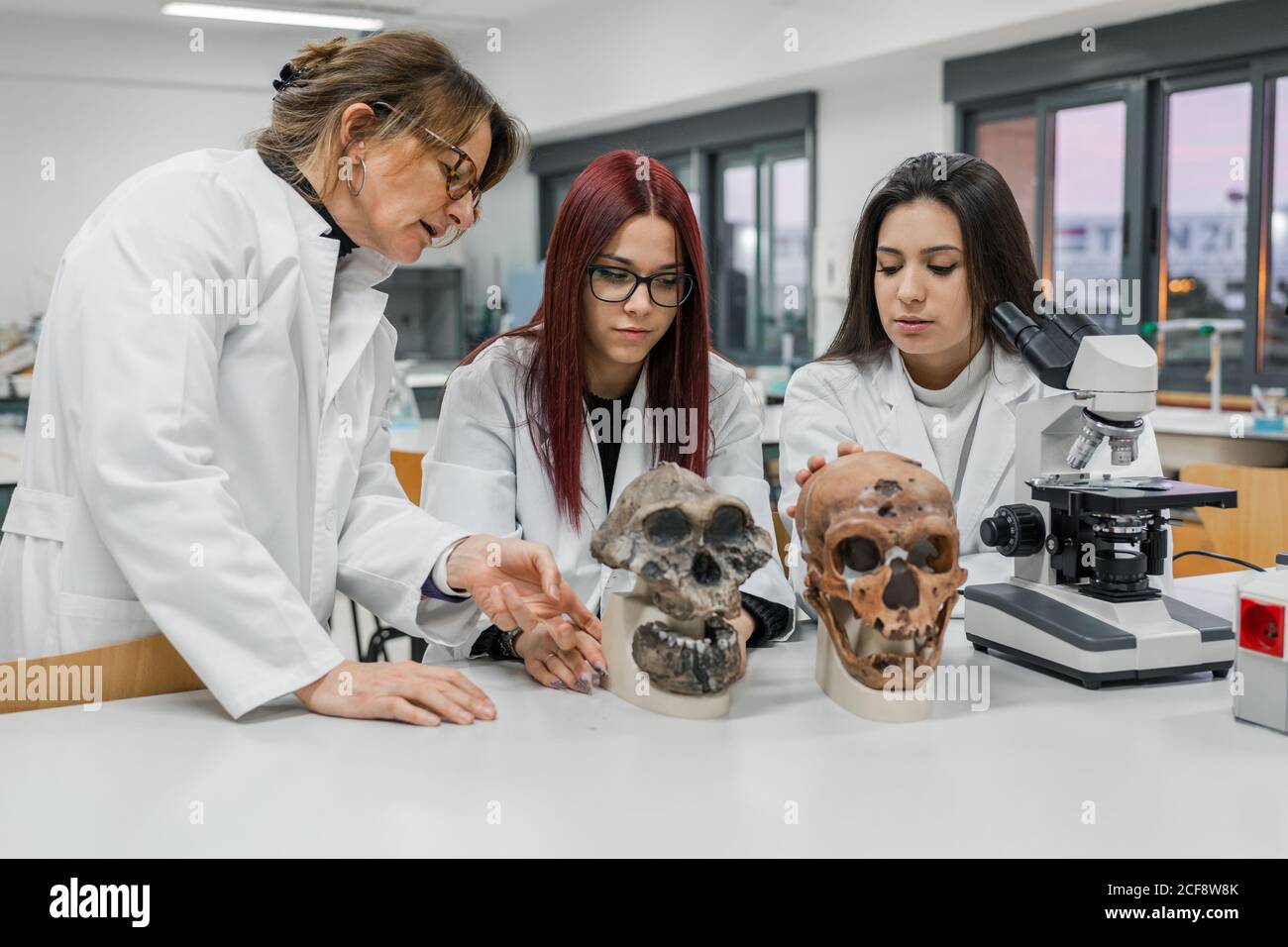 Scienziati che esaminano il cranio in laboratorio Foto Stock