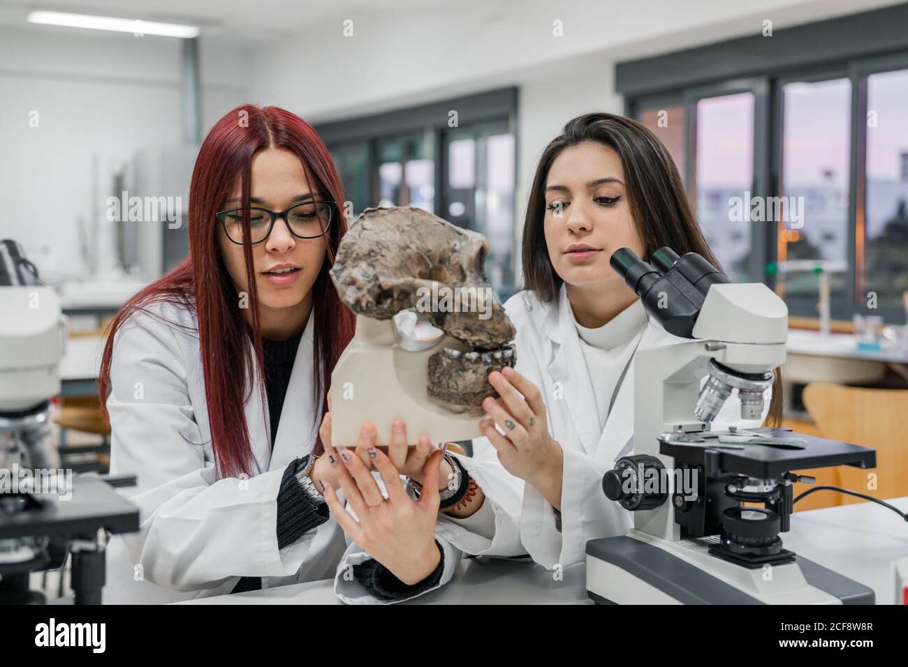 Giovani donne in abiti bianchi che esaminano il vecchio cranio del primate microscopio vicino durante la lezione di antropologia in laboratorio contemporaneo Foto Stock