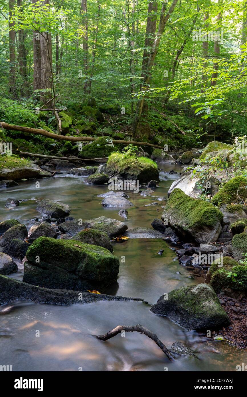 Una lunga esporsure di un ruscello che causa la sfocatura dell'acqua in un setoso liscio. Foto Stock