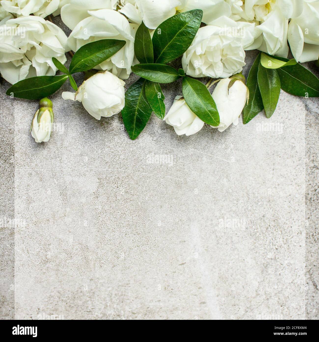 Matrimonio femminile, scena mock-up di articoli di cancelleria per compleanno. Biglietto d'auguri vuoto con bouquet di rose e foglie verdi. Fondo grigio cemento. Disposizione piatta, da a. Foto Stock