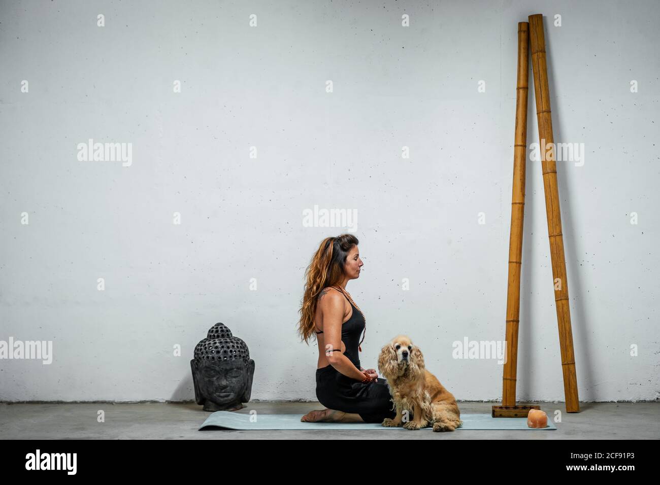 Vista laterale del contenuto femminile seduta su tappetino yoga con Inglese Cocker Spaniel cane e meditare in Padmasana in camera Con la testa di Buddha e bastoni di bambù Foto Stock