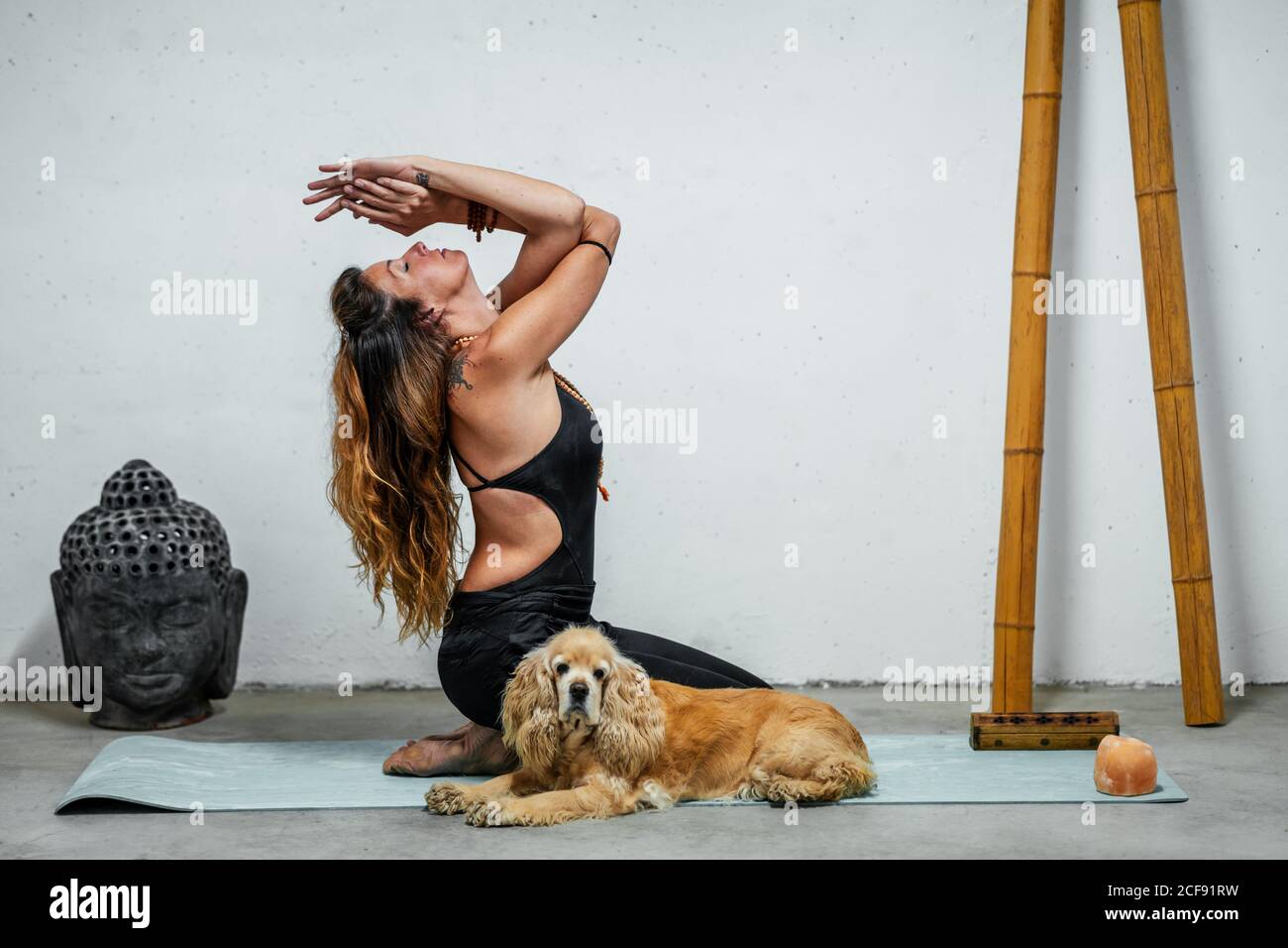 Vista laterale del contenuto femminile seduta su tappetino yoga con Inglese Cocker Spaniel cane e meditare in Padmasana in camera Con la testa di Buddha e bastoni di bambù Foto Stock