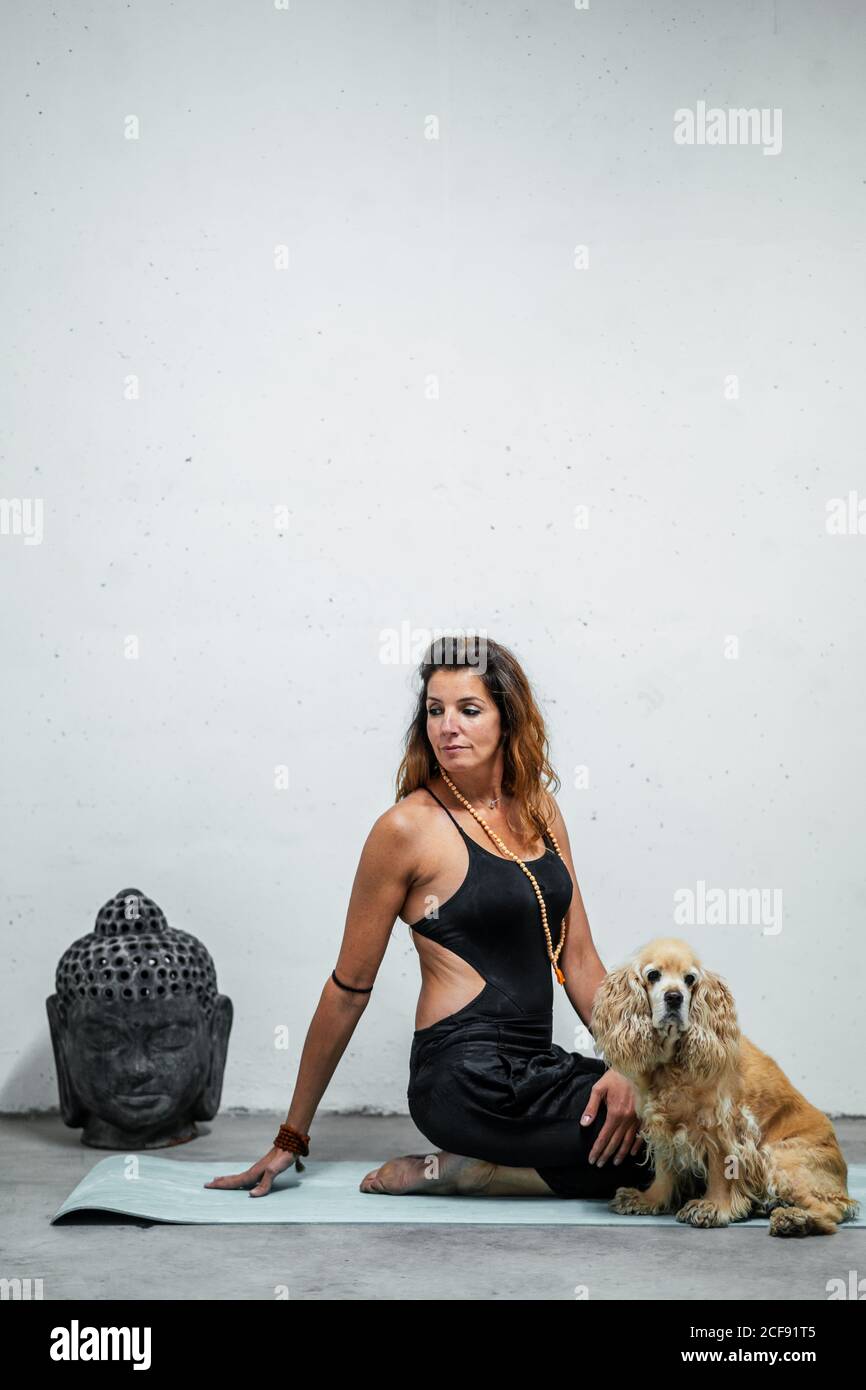 Vista laterale del contenuto femminile seduta su tappetino yoga con Inglese Cocker Spaniel cane e meditare in Padmasana in camera Con la testa di Buddha e bastoni di bambù Foto Stock
