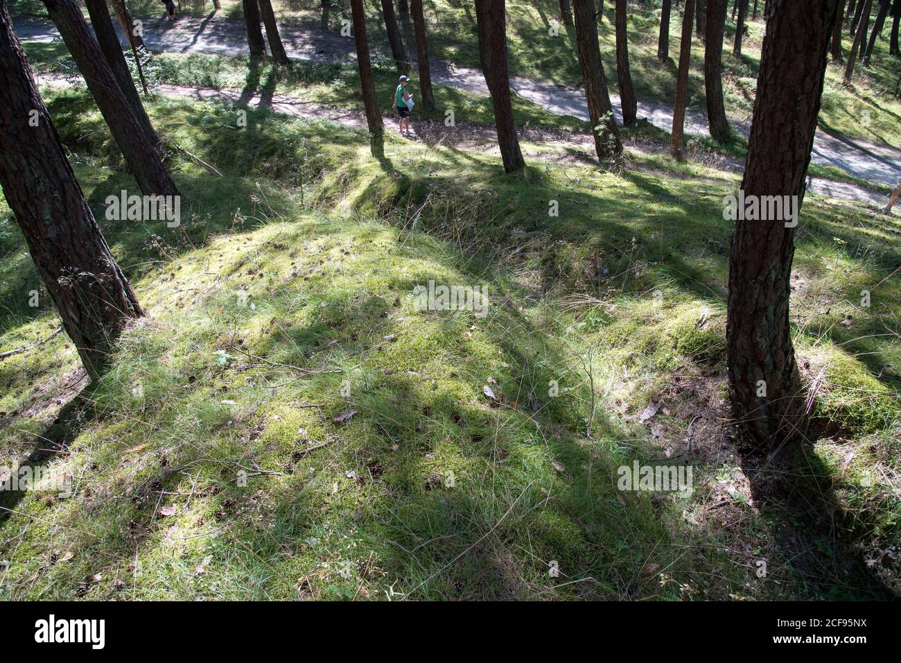 L'ex posizione di combattimento difensivo tedesco nazista costruita nel 1945 a Przebrno su Vistola Spit, Polonia. 19 Luglio 2020 © Wojciech Strozyk / Alamy Stock Phot Foto Stock