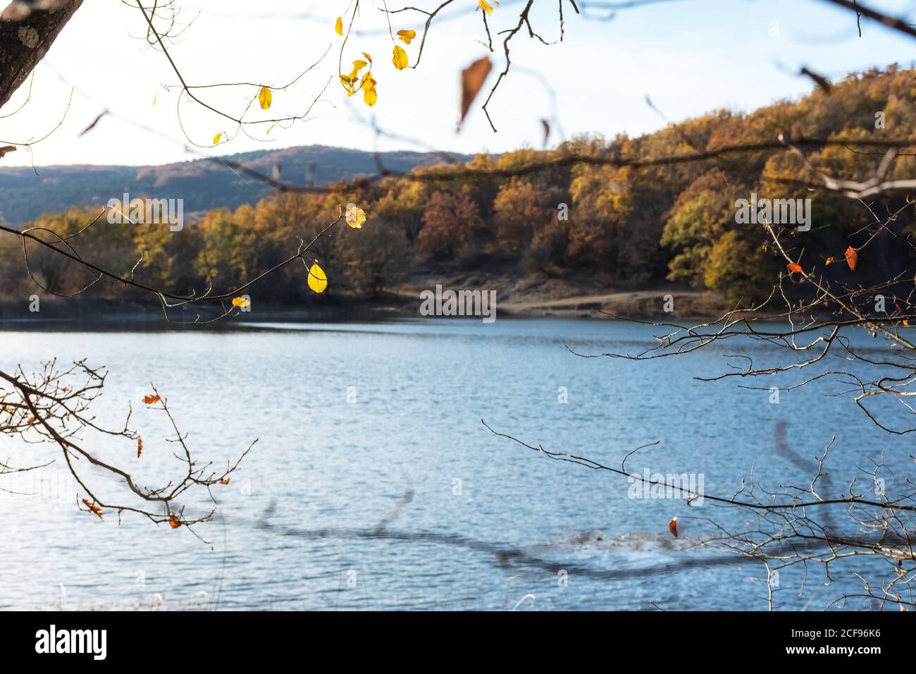 Sfondo autunno con un lago e alberi gialli. Vista attraverso il fogliame sulla superficie blu dell'acqua. Il concetto dell'arrivo dell'autunno. Brigata Foto Stock