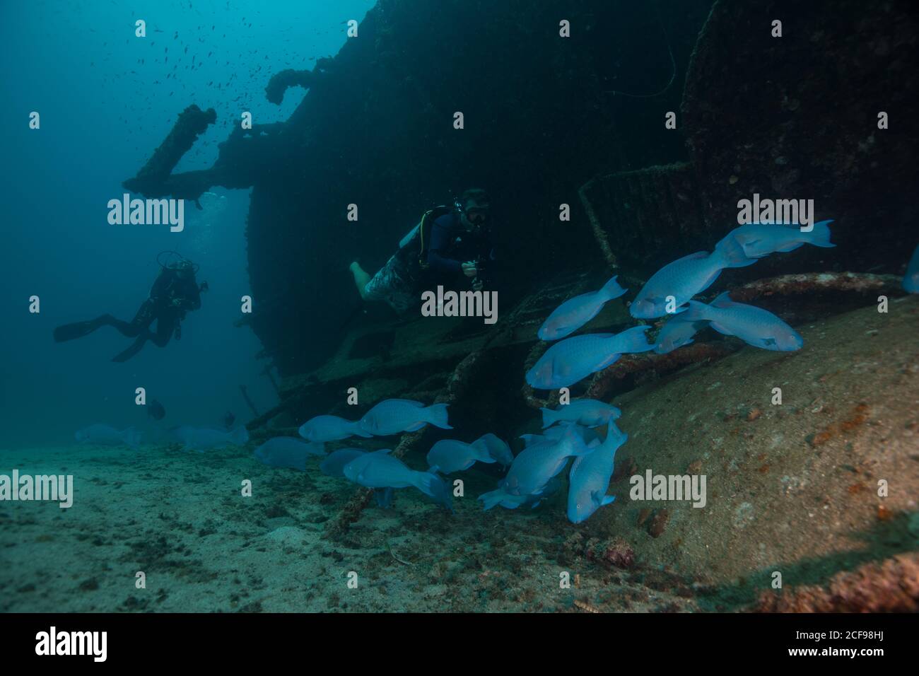 I subacquei nuotano accanto alla nave sommersa abbandonata verso pesci esotici blu in chiaro sott'acqua Foto Stock