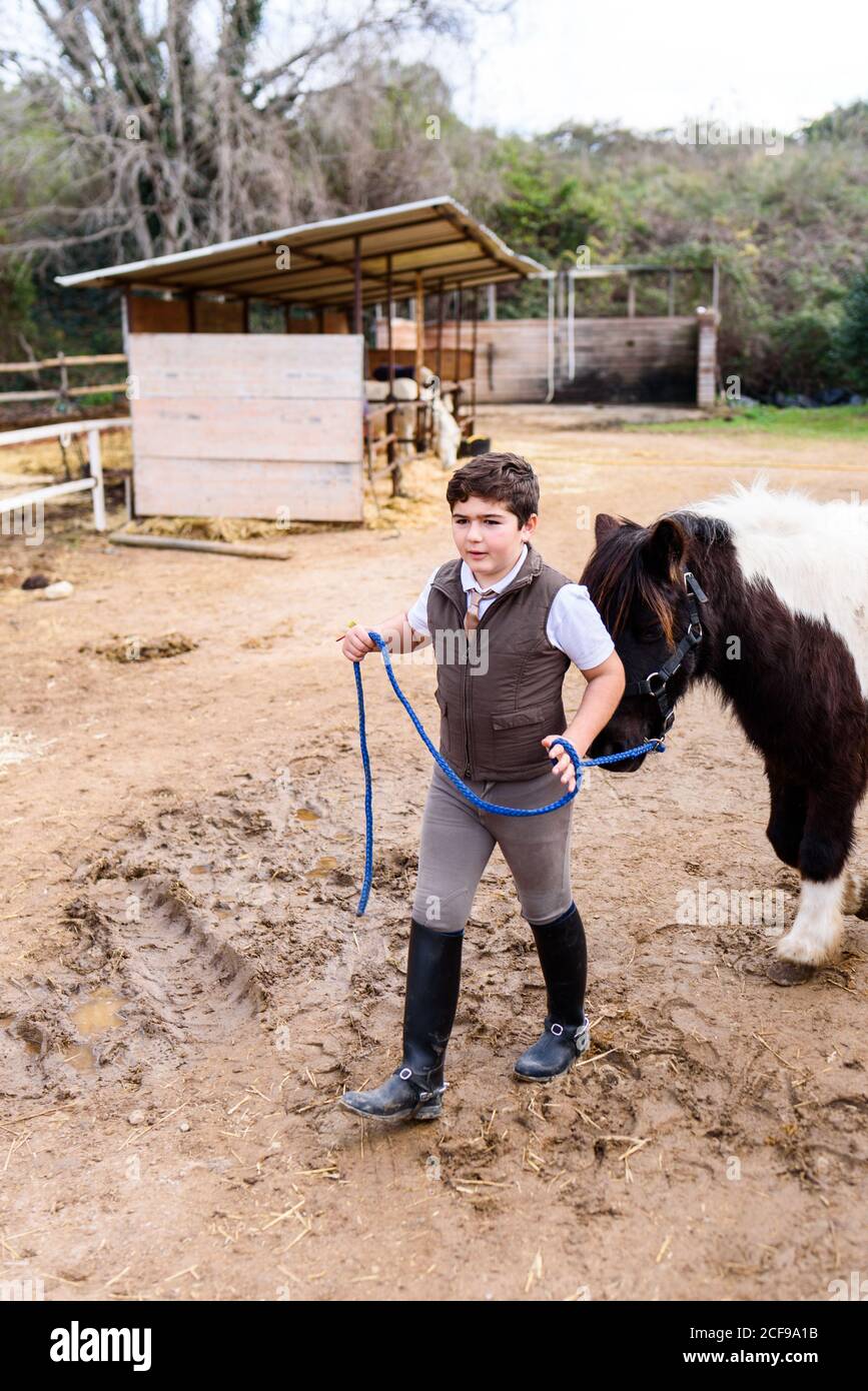 ragazzo in tuta da jockey e casco che conduce roan pony, mentre si cammina su terreno sabbioso di dressage arena nella scuola equestre Foto Stock