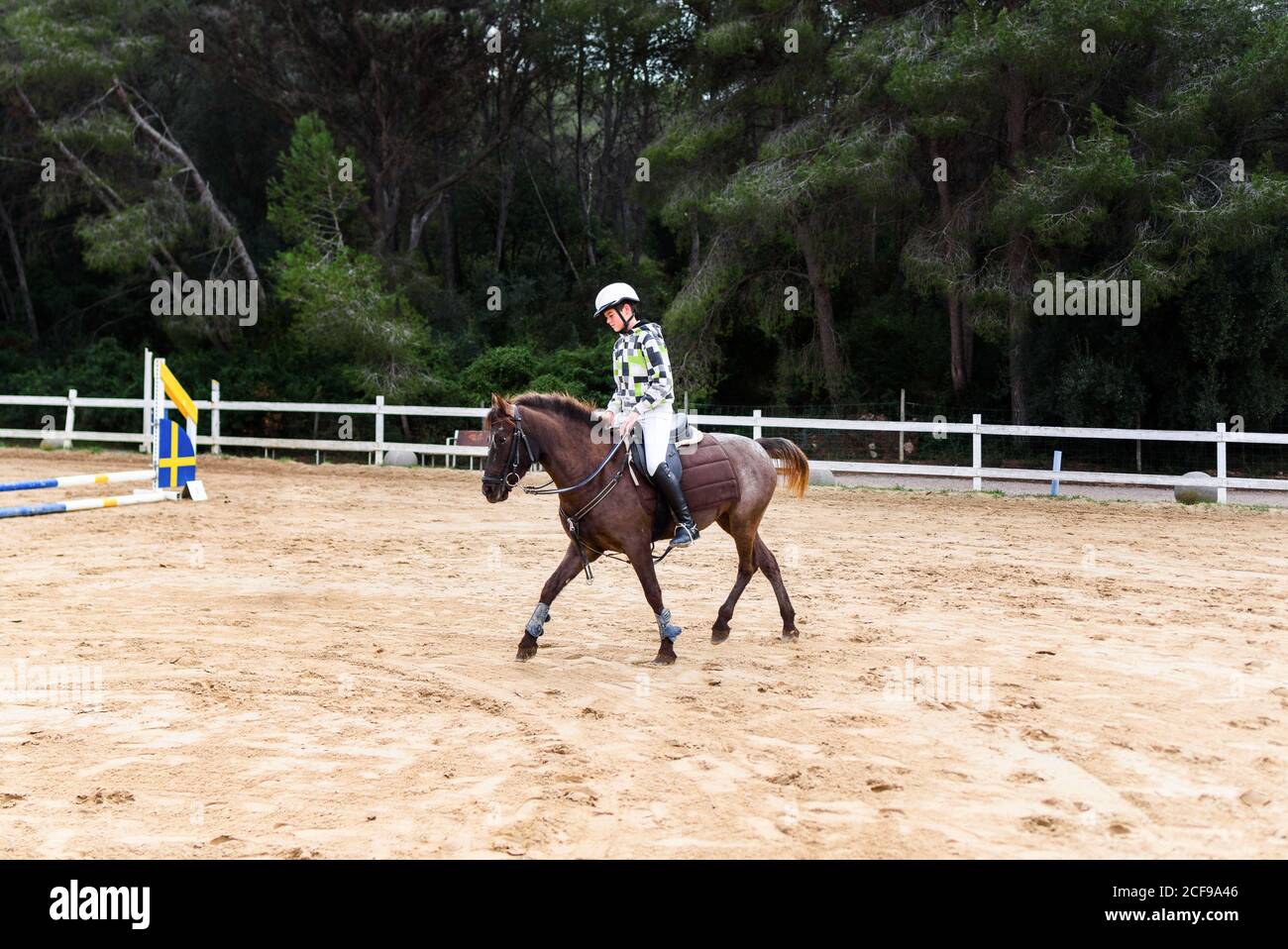 Ragazzo teen jockey in casco equitazione cavallo marrone su dressage arena  durante la formazione in scuola equestre Foto stock - Alamy