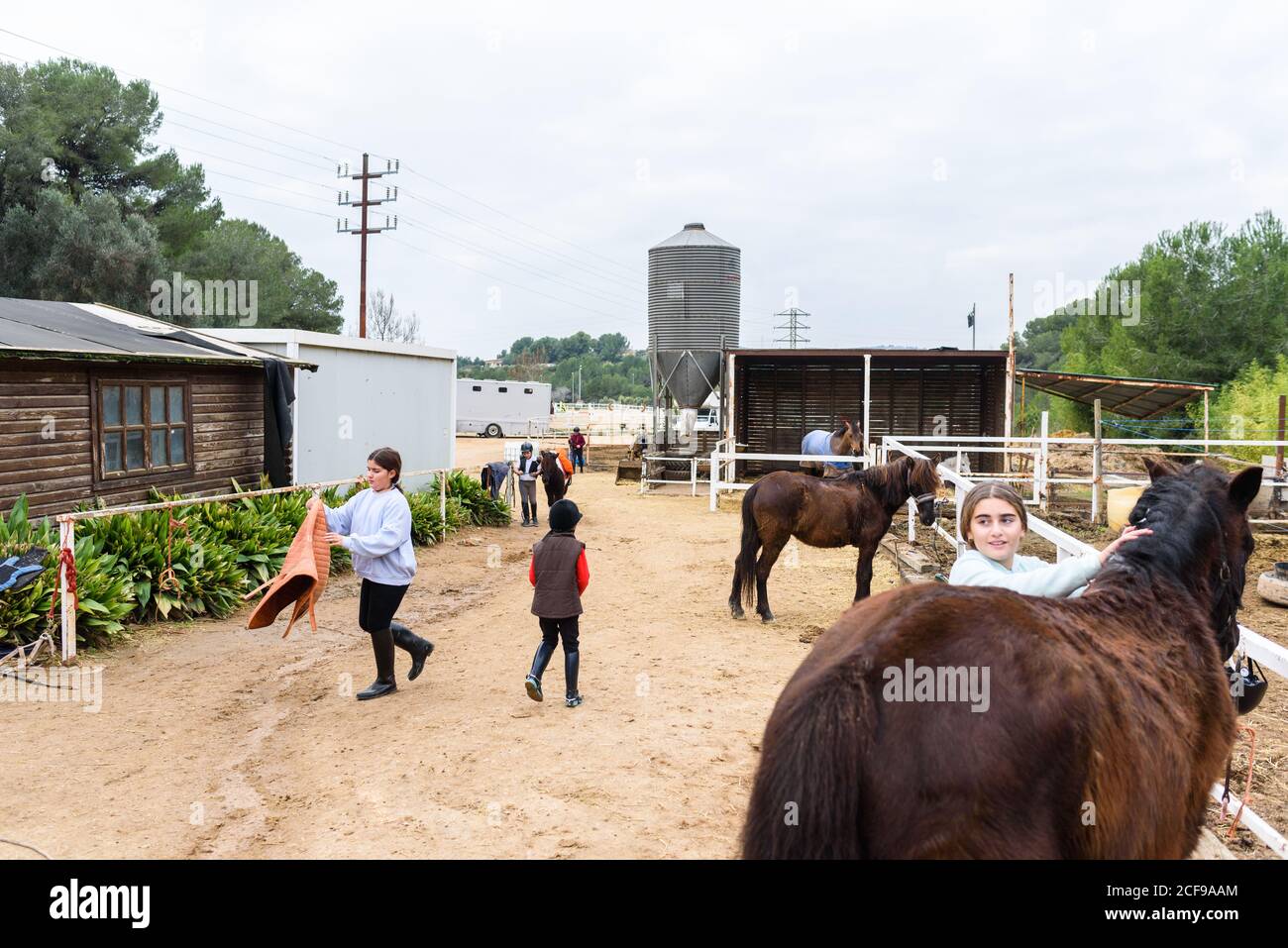 Gruppo di bambini che preparano i cavalli per il giro in recinto prima formazione sul ranch della scuola equestre Foto Stock