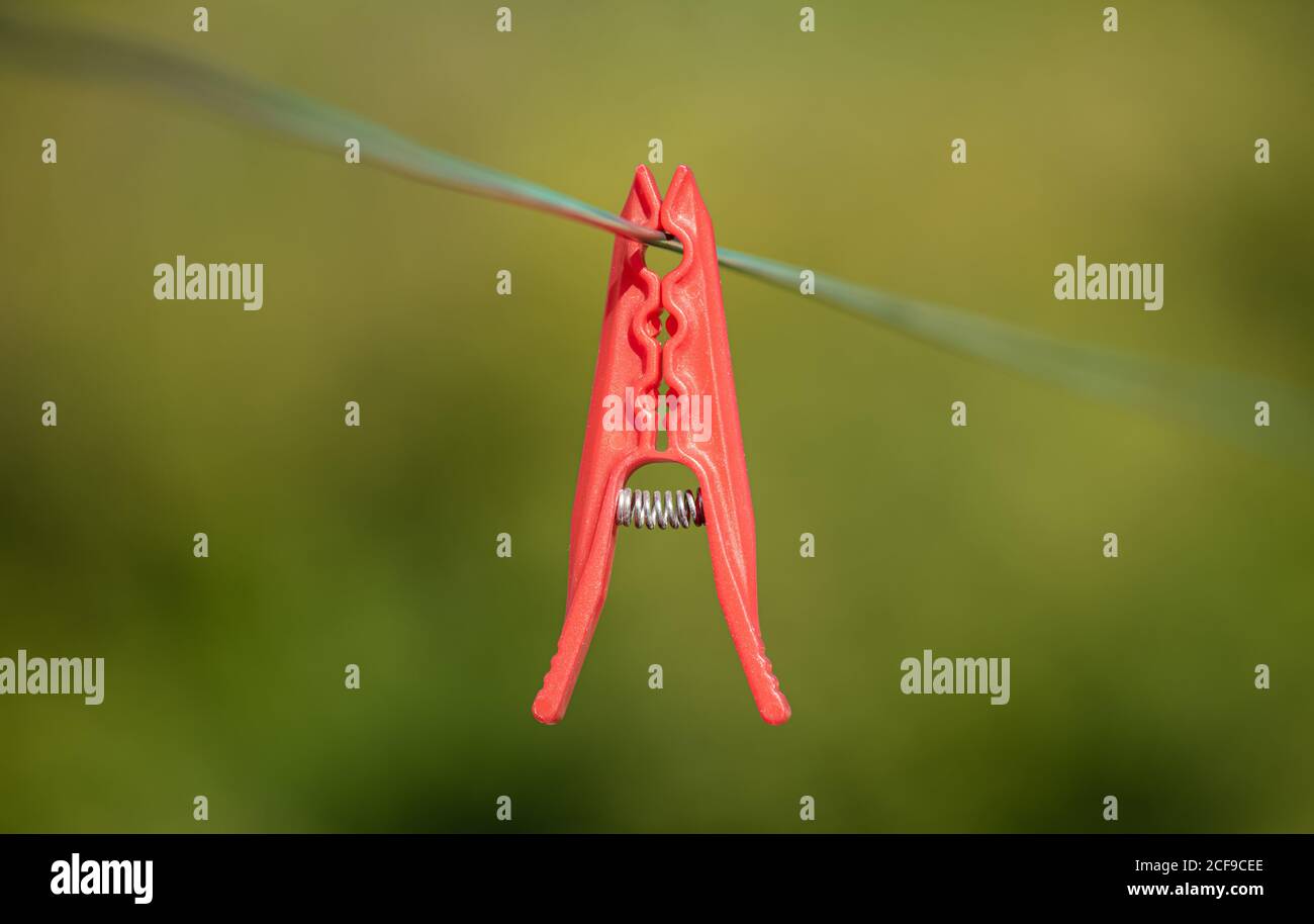 Spilla rossa appesa su un filo verde in un giardino, sfondo verde sfocato. Foto Stock