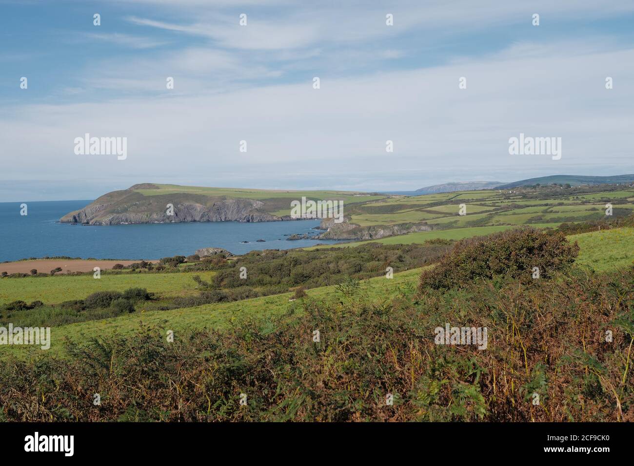 Vista della costa nord del Pembrokeshire che mostra Dinas Head Foto Stock
