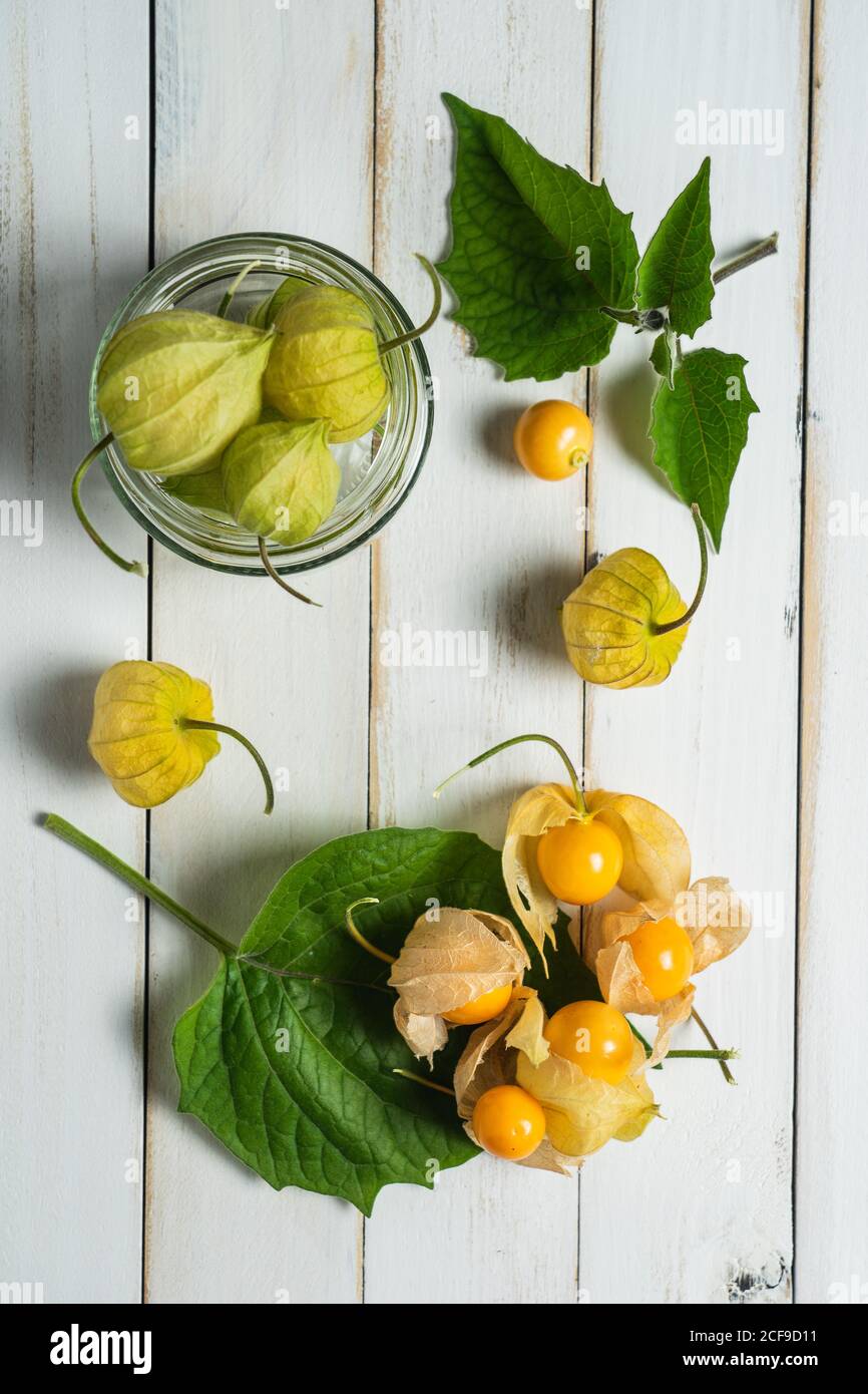 Physalis Fruit (Physalis peruviana) anche chiamato uchuva, frutti di bosco di frutti di mare o di oro, originari del Perù, su una tavola bianca di legno con foglie. Foto Stock