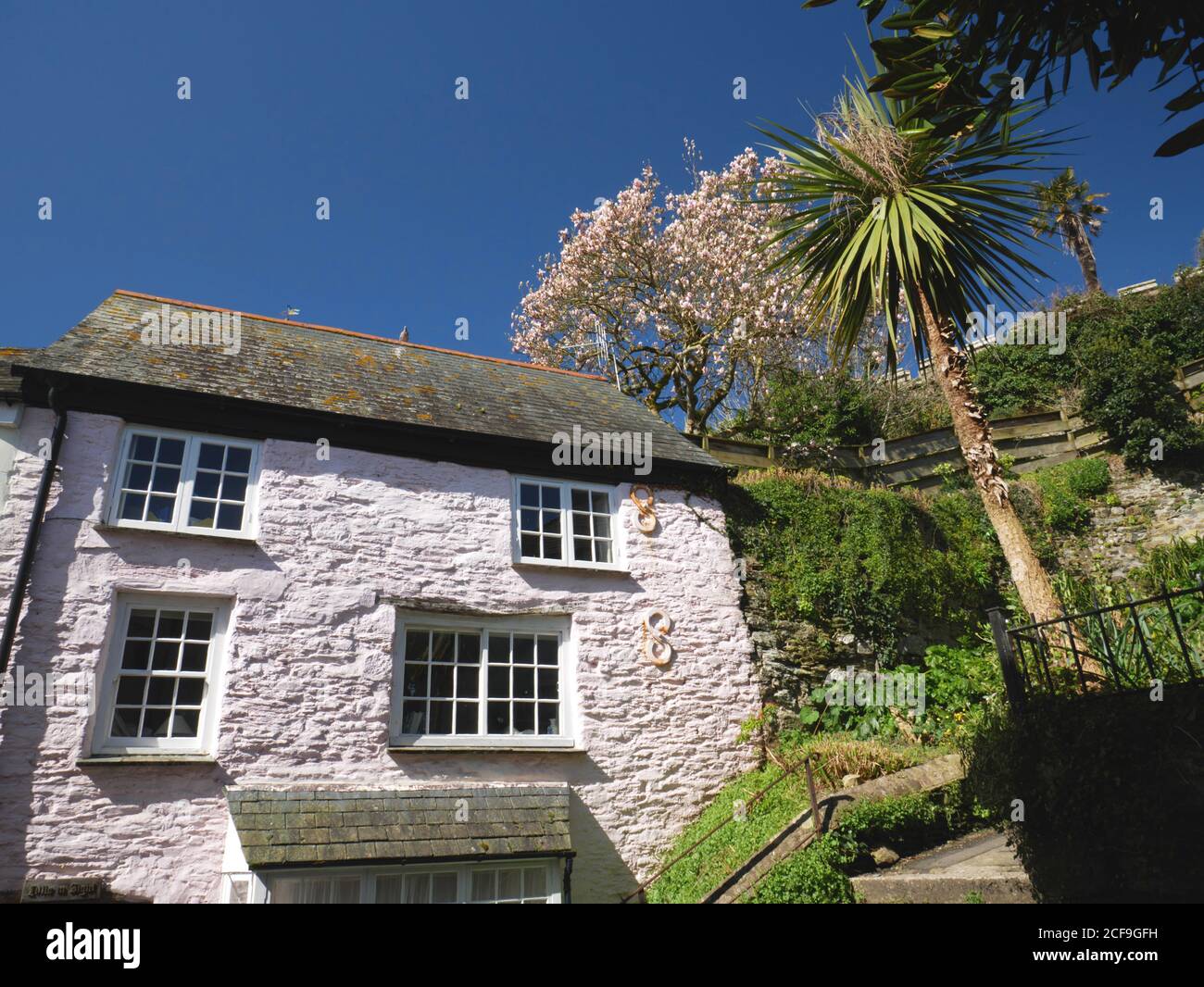 Un cottage e palme a Fowey in Cornovaglia. Foto Stock