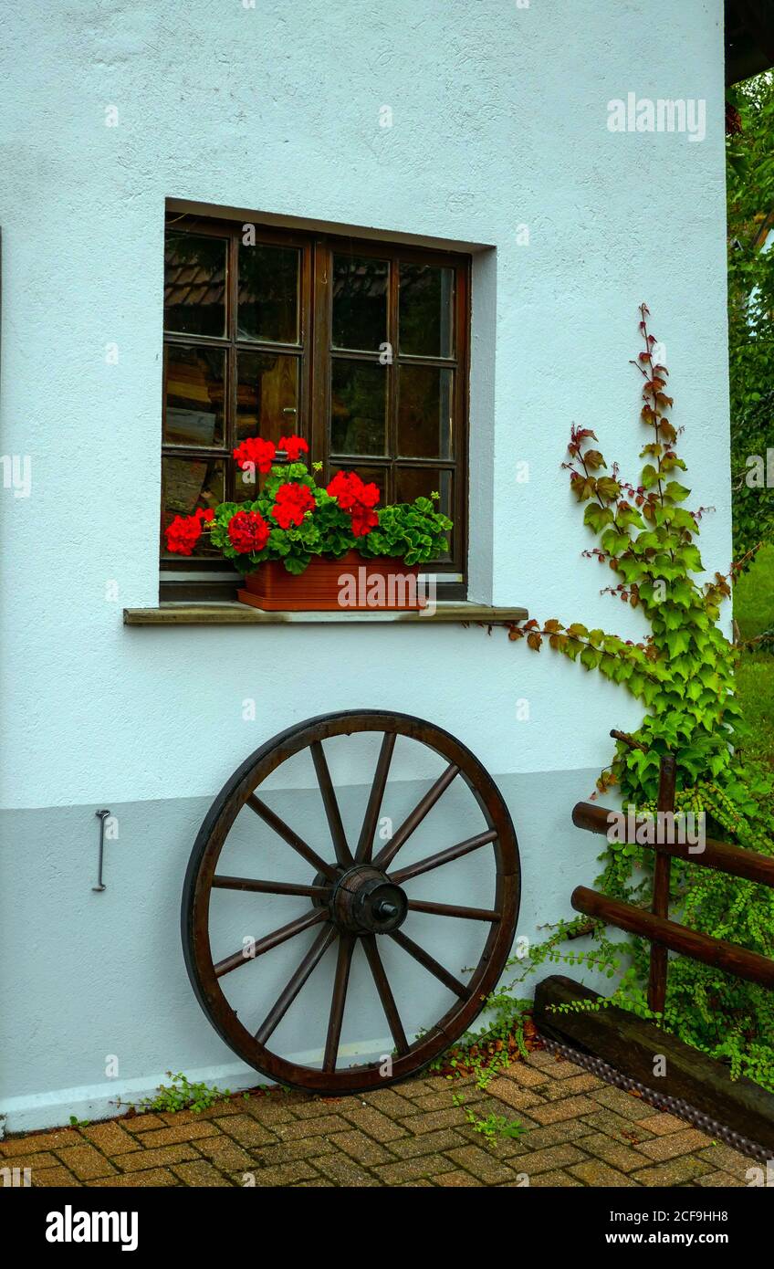 Ruota dentata sotto la finestra, con gerani, edifici, case a Soultzeren, Munster, Vosges Montagne, Francia Foto Stock