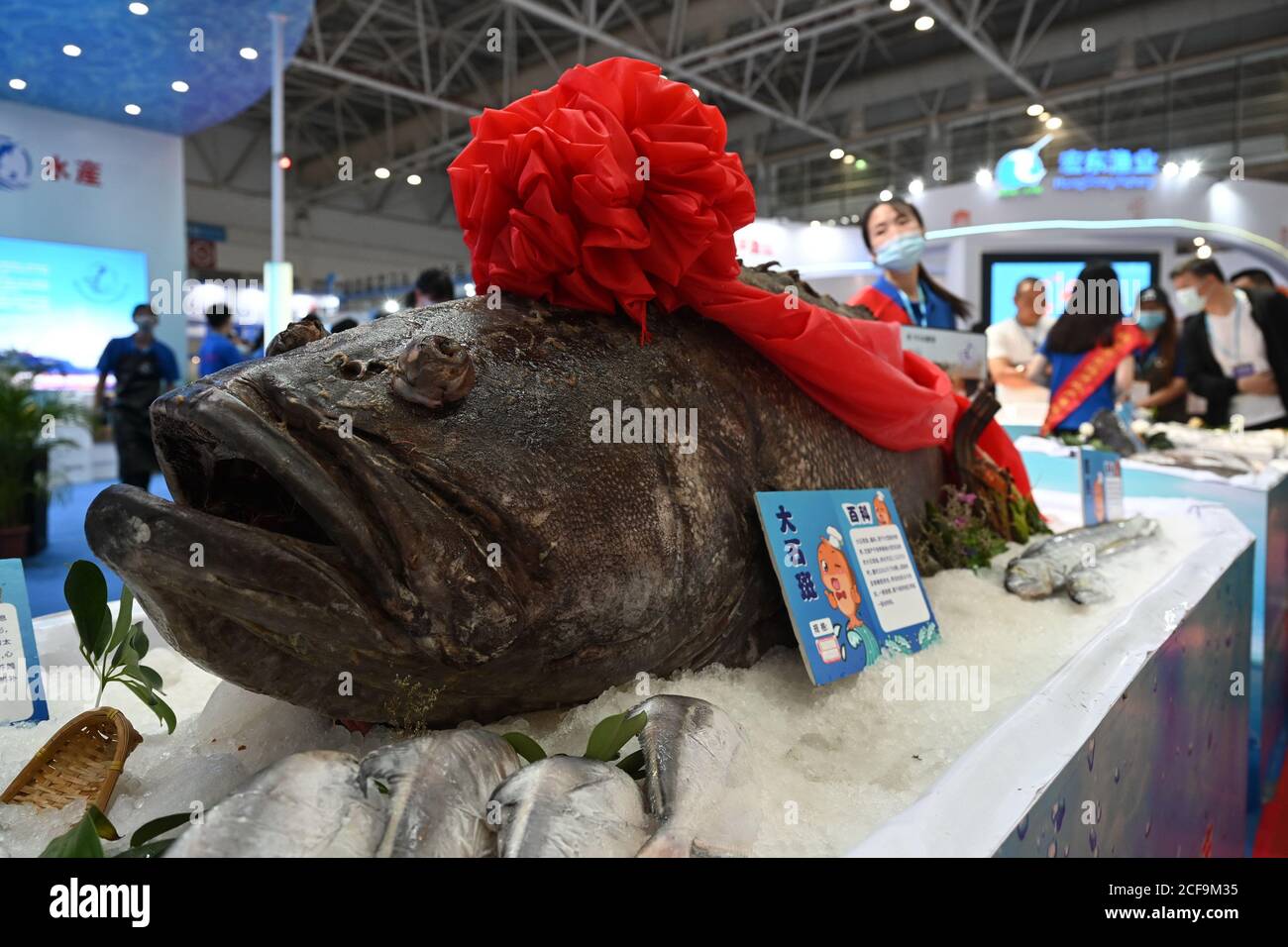 Fuzhou. 4 Settembre 2020. Foto scattata il 4 settembre 2020 mostra una vista della China (Fuzhou) International Seafood & Fisheries Expo tenutasi a Fuzhou, capitale della provincia di Fujian del sud-est della Cina. L'esposizione di quest'anno si è tenuta sia online che offline, con ingredienti di pesce, lavorazione di prodotti acquatici e altri spazi espositivi. Credit: LIN Shanchuan/Xinhua/Alamy Live News Foto Stock