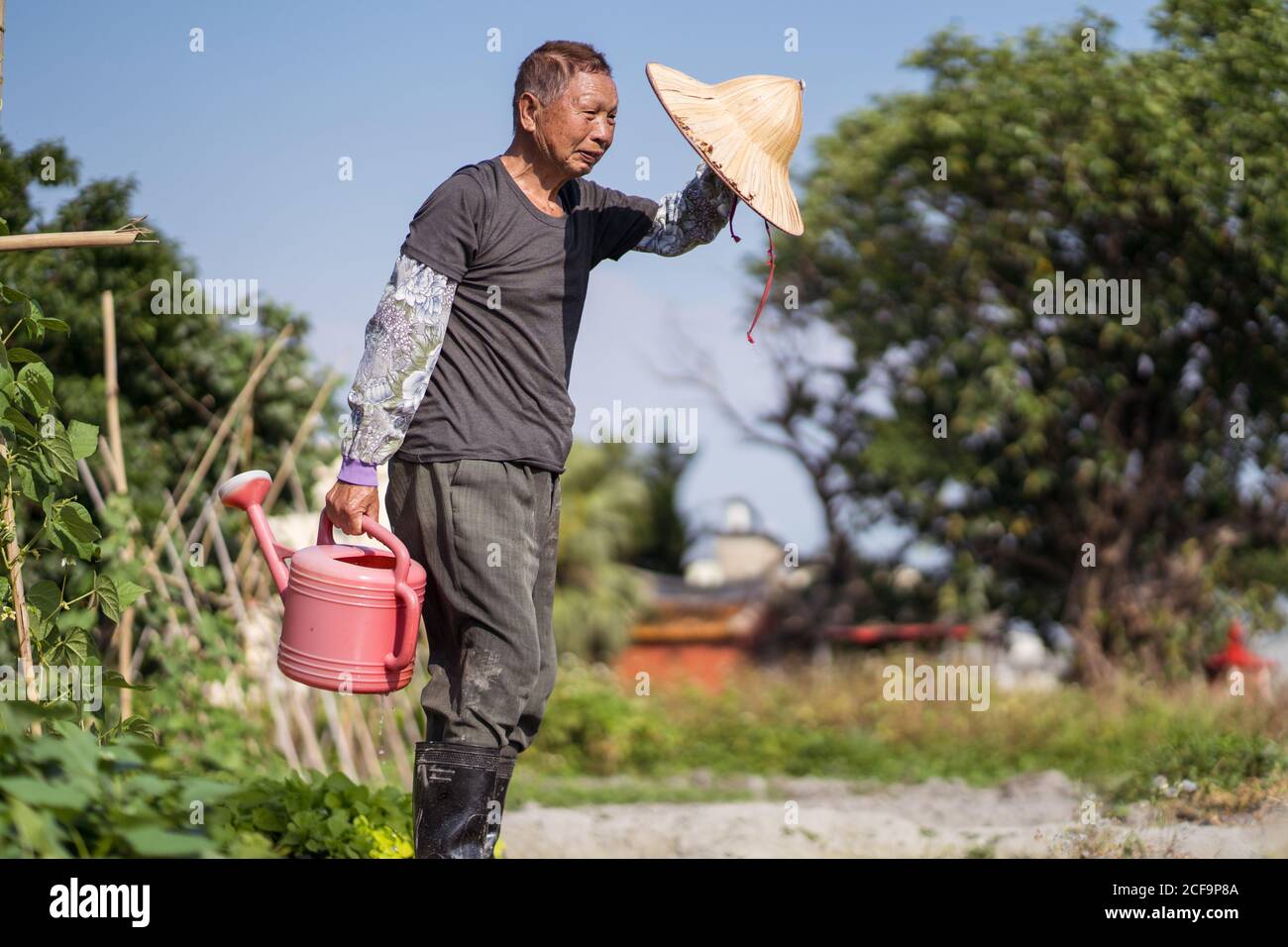 Vista laterale dell'uomo asiatico in abiti sporchi con orientale recipiente di irrigazione in plastica per riempire il cappello di paglia per versare le piante mentre In piedi accanto allo stretto torrente in fattoria a Taiwan Foto Stock