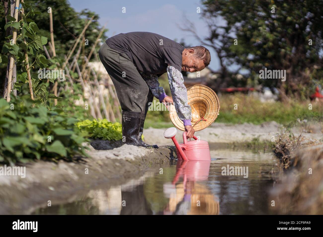 Vista laterale di un uomo asiatico focalizzato con vestiti sporchi recipiente di irrigazione in plastica per il riempimento di cappelli di paglia orientali per impianti di colata Mentre si trova accanto allo stretto torrente in fattoria a Taiwan Foto Stock