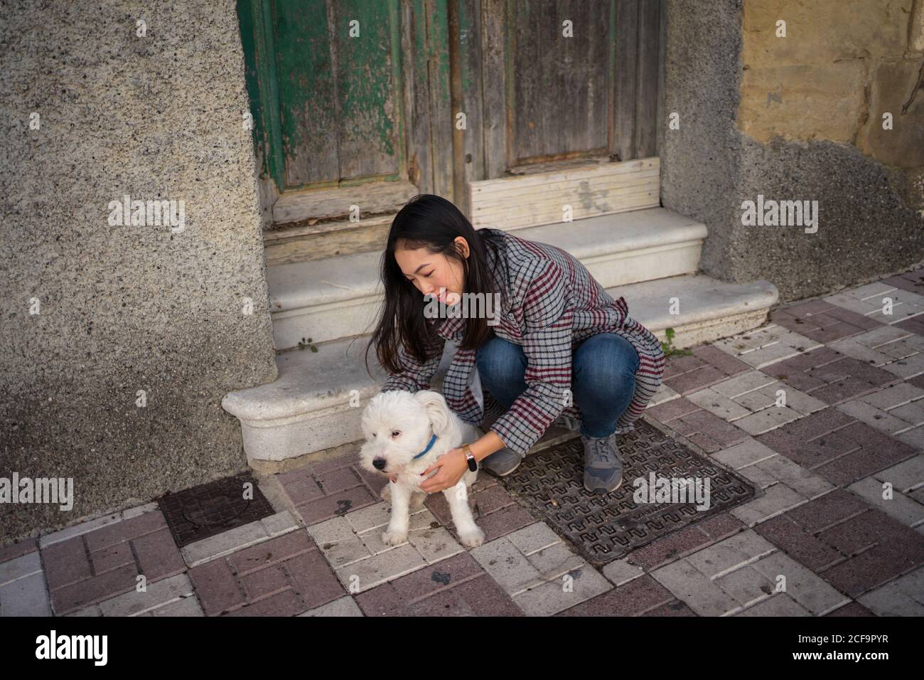 Una donna tranquilla che strava il cane sulla strada Foto Stock