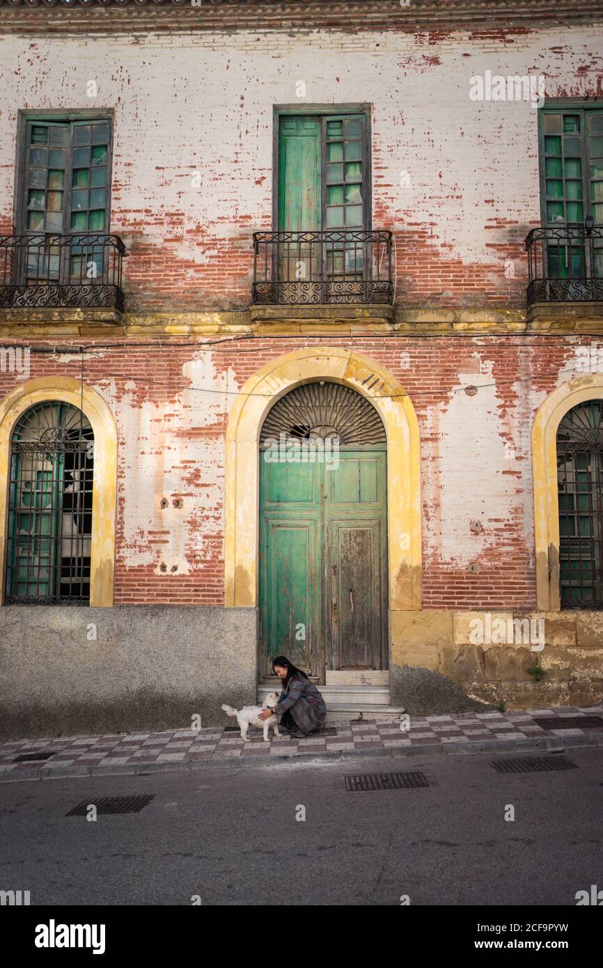 Una donna tranquilla che strava il cane sulla strada Foto Stock