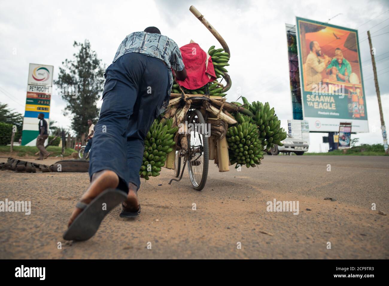 Uganda - 26 novembre 2016: Basso angolo di determinato maschio africano in blu vestiti casual che mette a fuoco e fissaggio incredibile numero di banane fresche in bicicletta mentre si trova a bordo strada contro la vista urbana offuscata e il cielo nuvoloso grigio Foto Stock