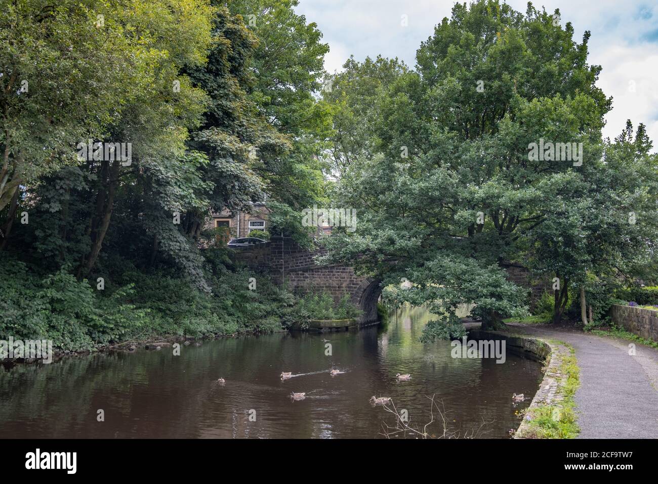 Il canale Rochdale a Drum vicino a Littelborough Foto Stock