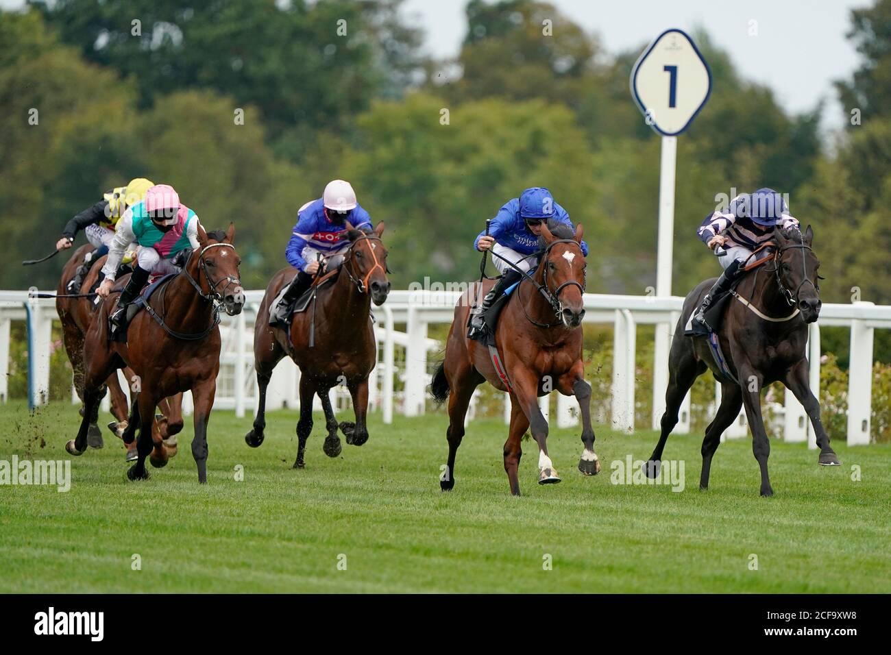 La Barrosa guidata dal jockey James Doyle (centro a destra) vince la gara ME2 Club EBF Future Stayers' Maiden Stakes all'ippodromo di Ascot. Foto Stock