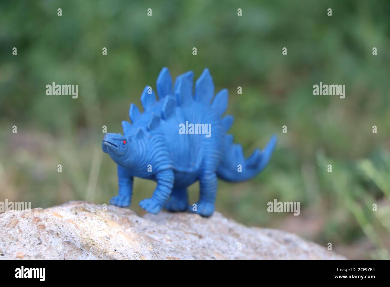 giocattolo di dinosauro in gomma blu in un parco Foto Stock