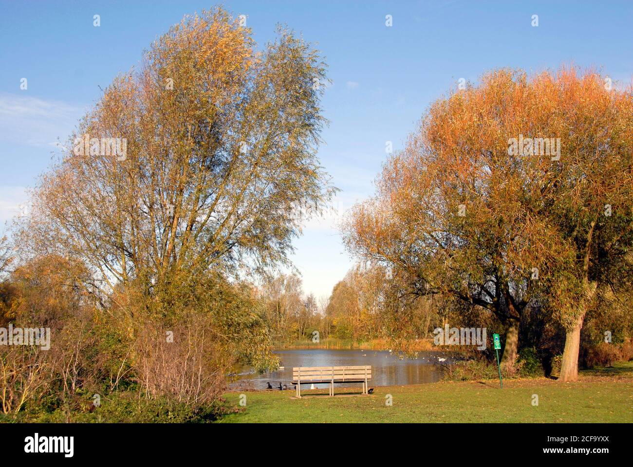 Scena autunnale a Nene Park, Orton Mere, Cambridgeshire, Inghilterra con posto accanto al lago Foto Stock