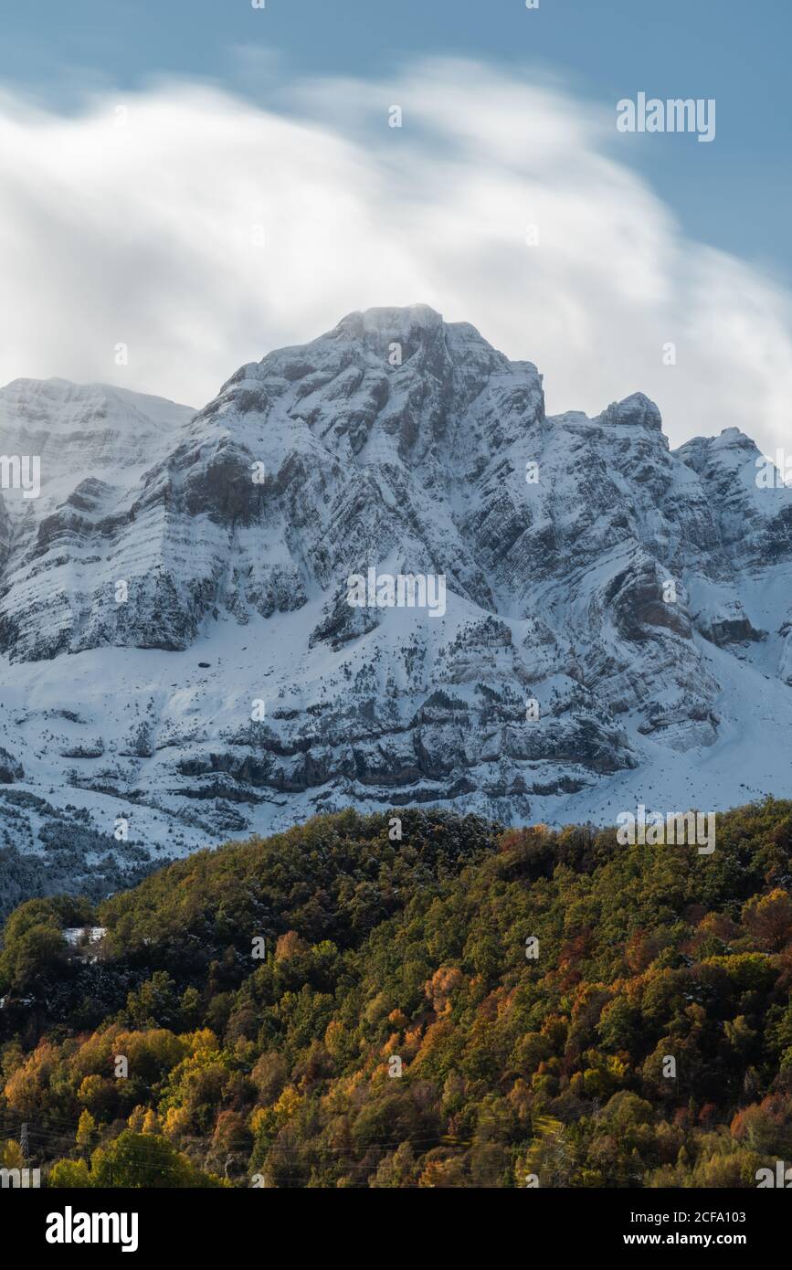 Vista pittoresca sulle montagne innevate nella foresta su un pendio collinare il freddo giorno d'autunno in natura Foto Stock