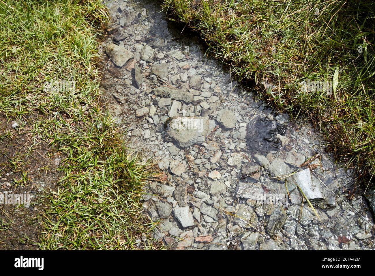 rocce di ardesia grigio verde nel letto di un piccolo ruscello che scende al lago loughrigg distretto parco nazionale cumbria inghilterra regno unito Foto Stock