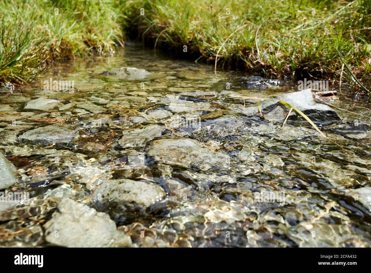 rocce di ardesia grigio verde nel letto di un piccolo ruscello che scende al lago loughrigg distretto parco nazionale cumbria inghilterra regno unito Foto Stock