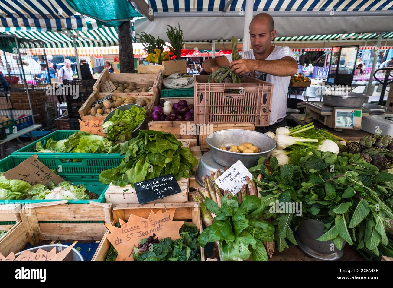 NIZZA, FRANCIA - 19 maggio 2015. Bancarella di mercato che vende vari ortaggi a foglia verde al mercato Cours Saleya Foto Stock