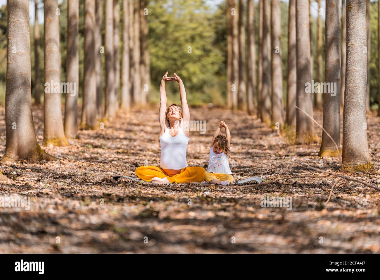 Adulto incinta Donna e bambina con gli occhi chiusi in camicie bianche e pantaloni  gialli che allungano il corpo mentre si siede a terra e praticare yoga in  glade tra gli alberi