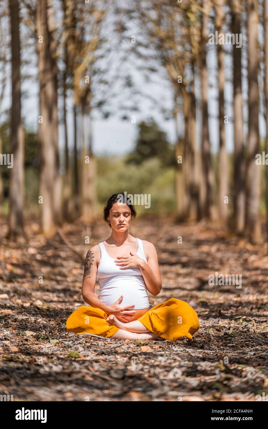 Calma adulto incinta Donna pratica yoga mentre si siede in posa lotus a terra nel parco durante il giorno di sole Foto Stock