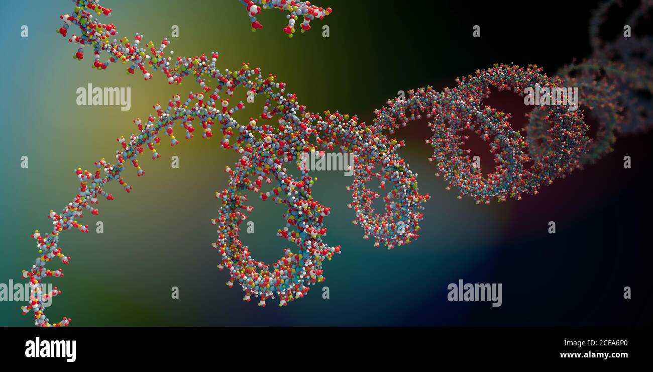 Catena di acido ribonucleico da cui l'acido desossiribonucleico o DNA è composto - illustrazione 3d Foto Stock
